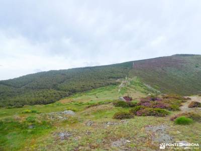 Pico del Lobo - Sierra de Ayllón; pueblos de toledo con encanto singles madrid con niños cañon del r